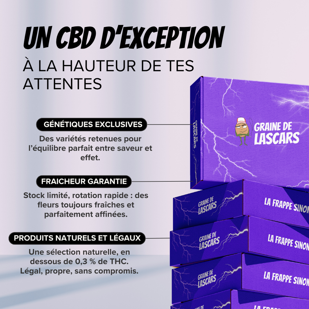 Pack Découverte Fleur 8G