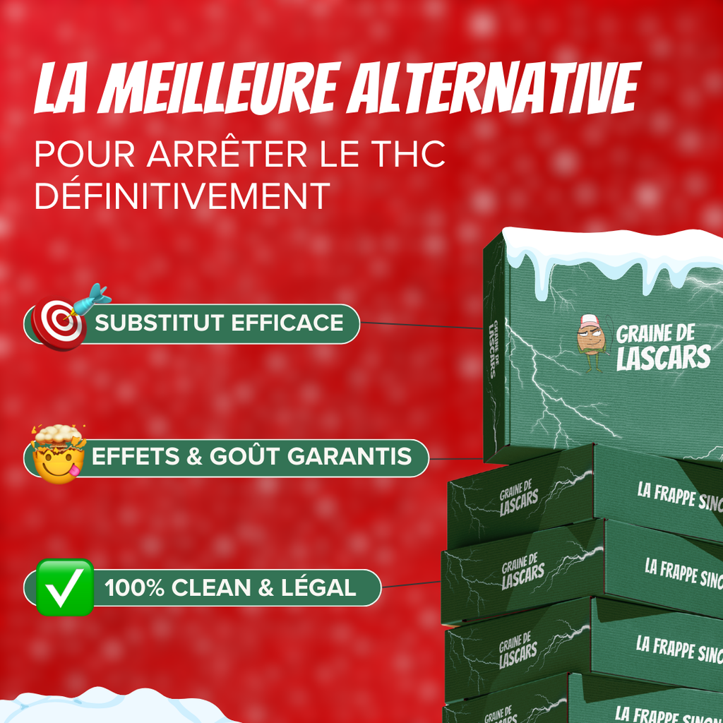 Pack de Noël