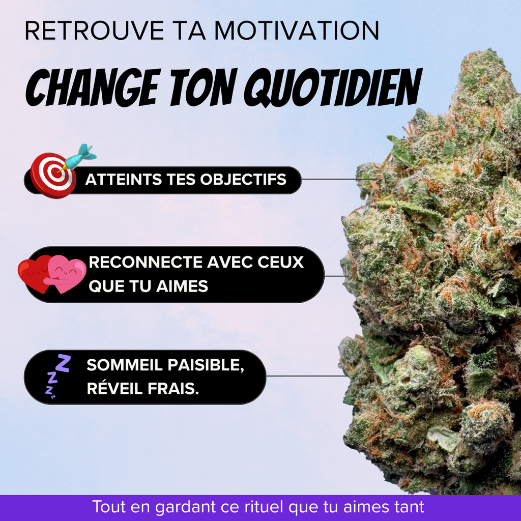 Pack Arret TH