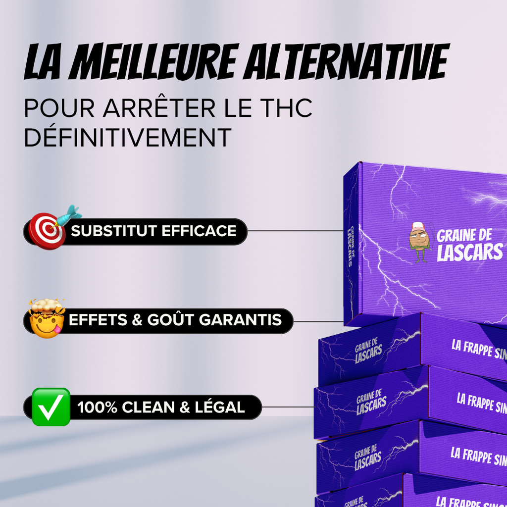 Pack Arret TH