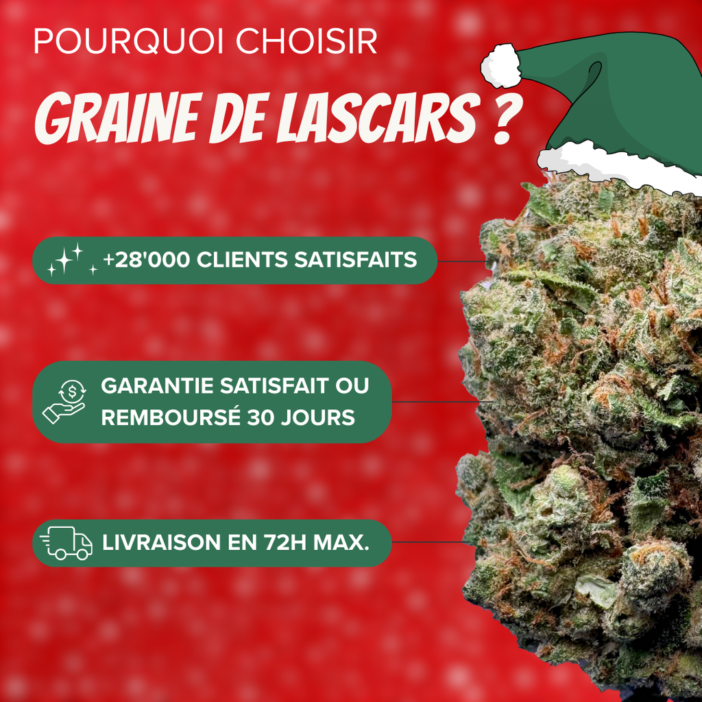Pack de Noël