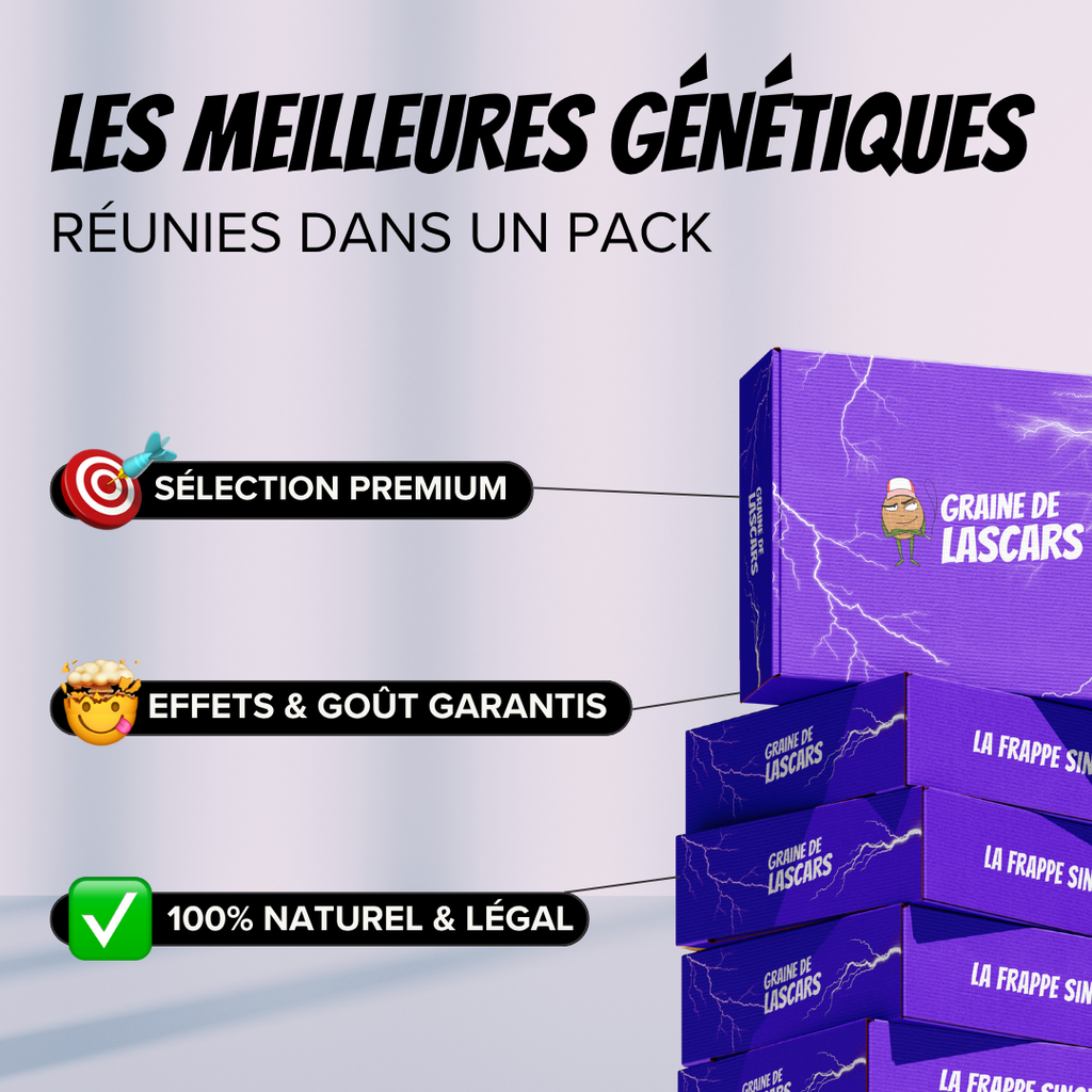 Pack découverte fleur