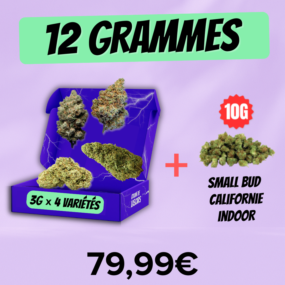 Pack Découverte Fleur