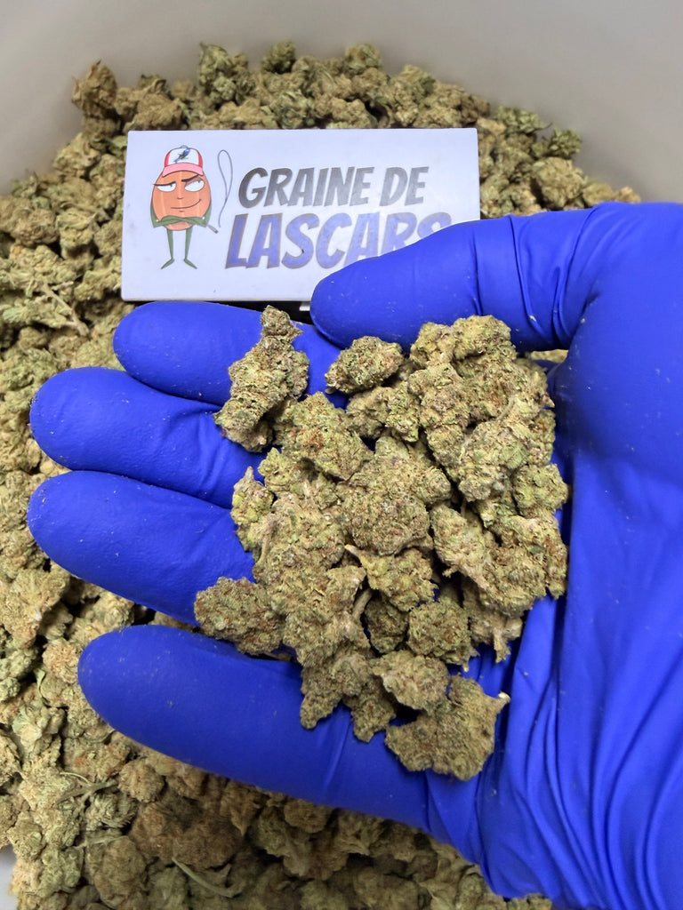 Produit cadeau