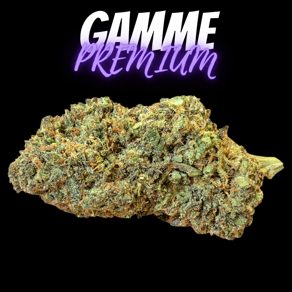 G.M.O Cookie