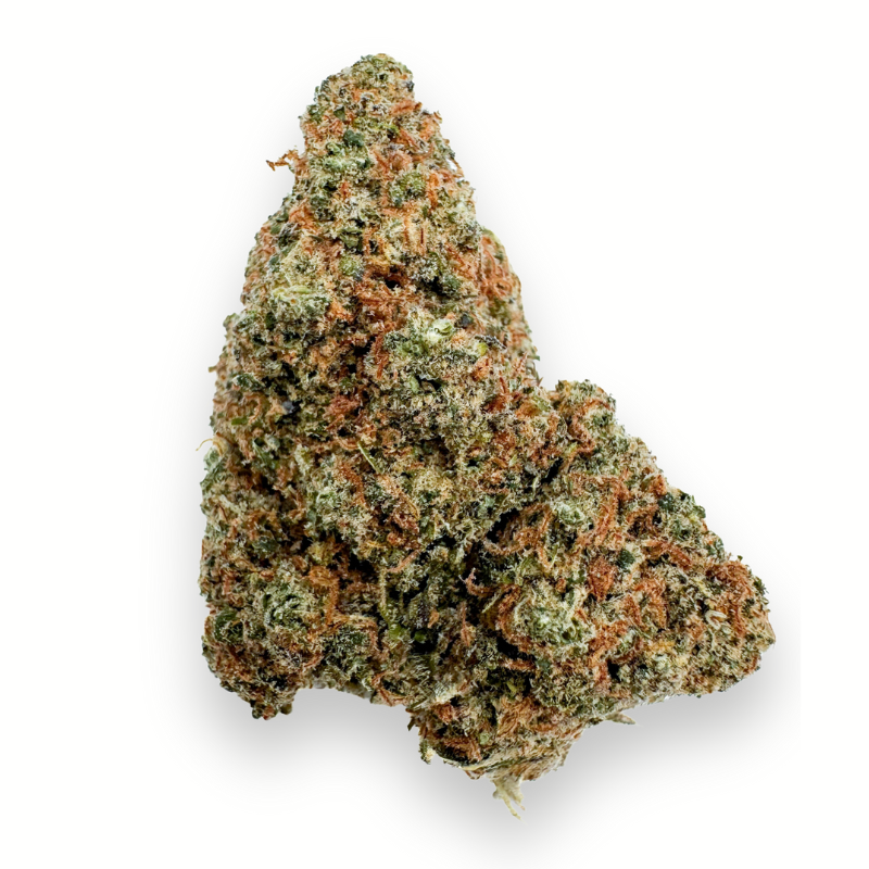 Orange Bud