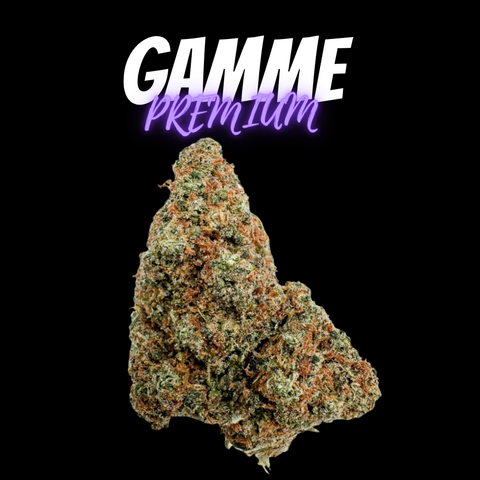 Orange Bud