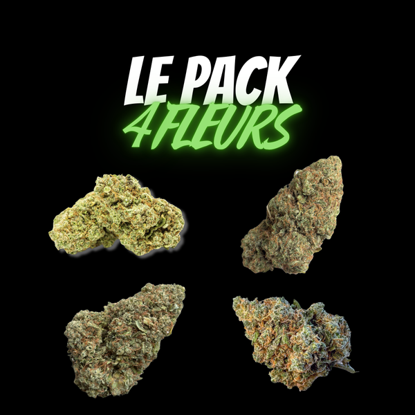 Pack 4 Fleurs