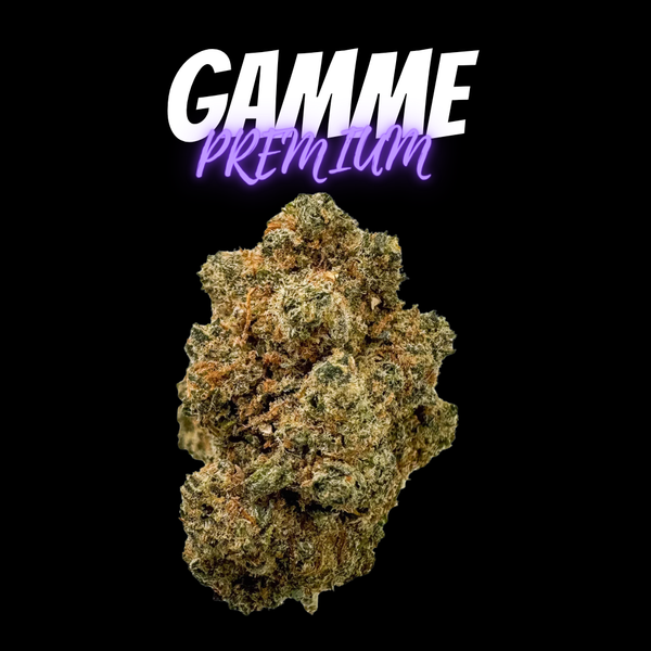 Apple Fritter