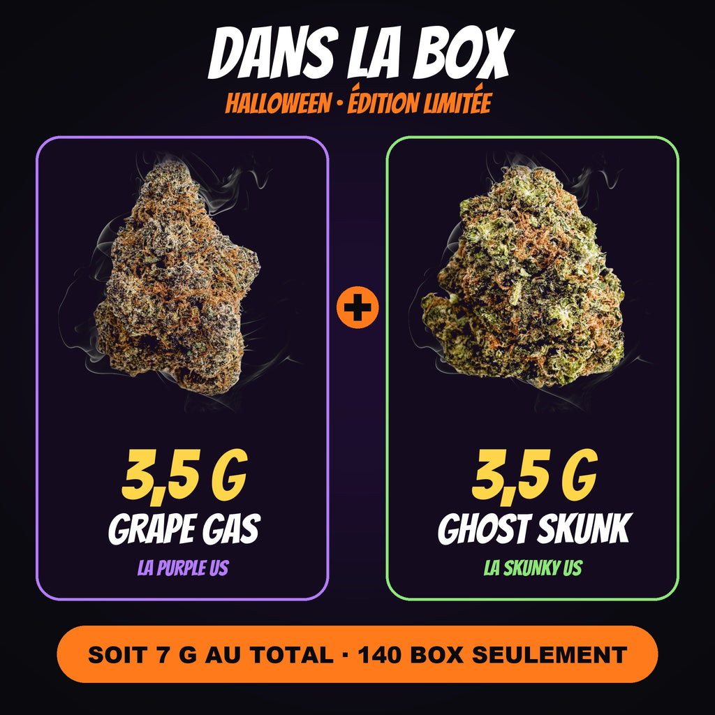Box Halloween