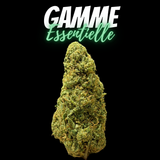 OG Cheese