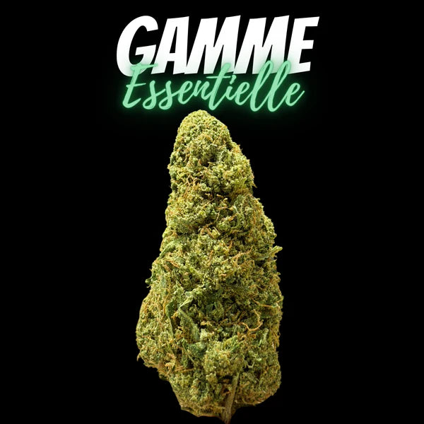 Produit cadeau