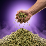 Mystery Trim Premium