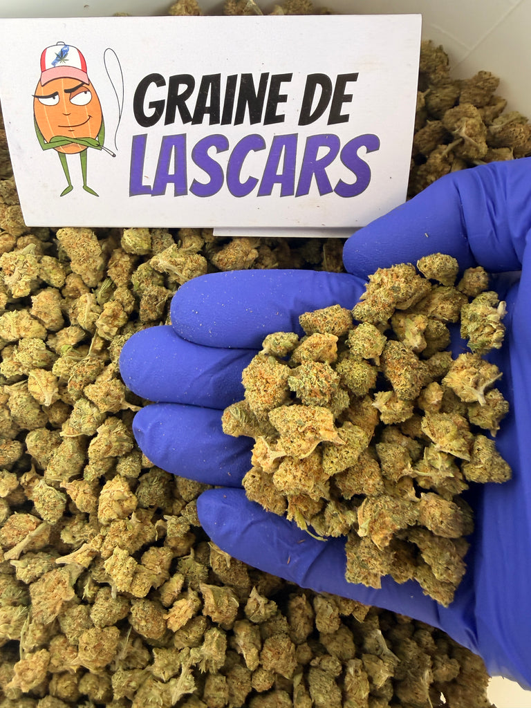 Produit cadeau