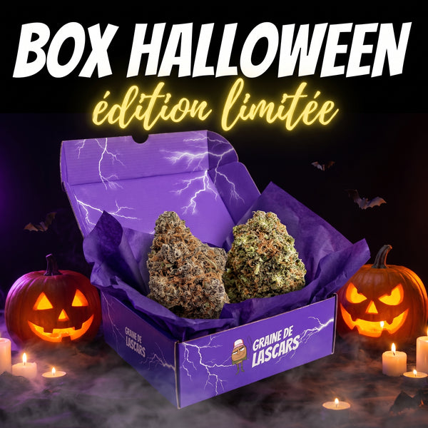 Box Halloween