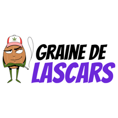 Logo Graine de Lascars